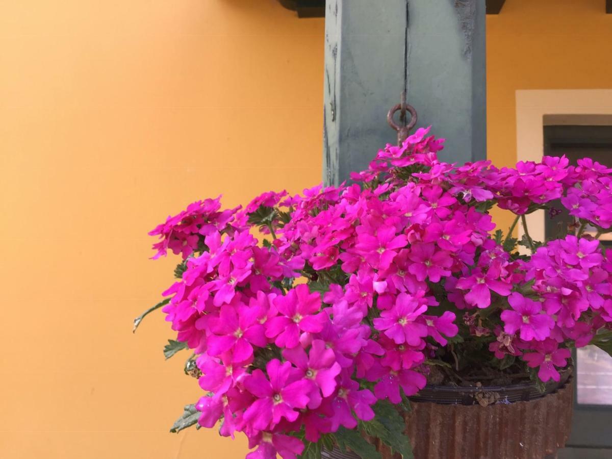 Apartamento Camangu C Appartement Camango Buitenkant foto